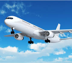 Services Provider of Domestics Air Ticket Booking